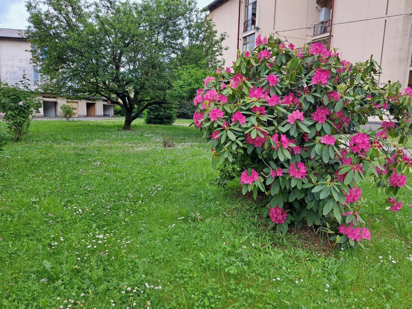 Seraval Valsesia Apartment Serravalle Sesia Dış mekan fotoğraf