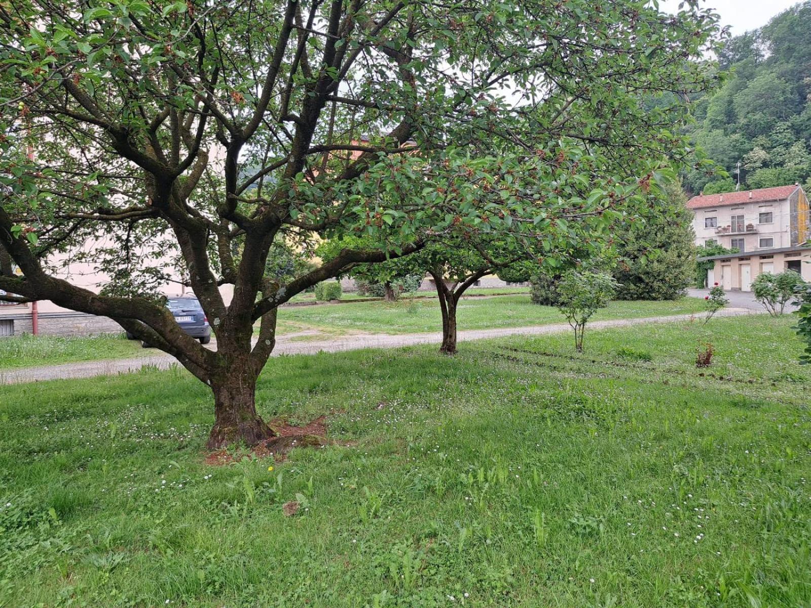 Seraval Valsesia Apartment Serravalle Sesia Dış mekan fotoğraf