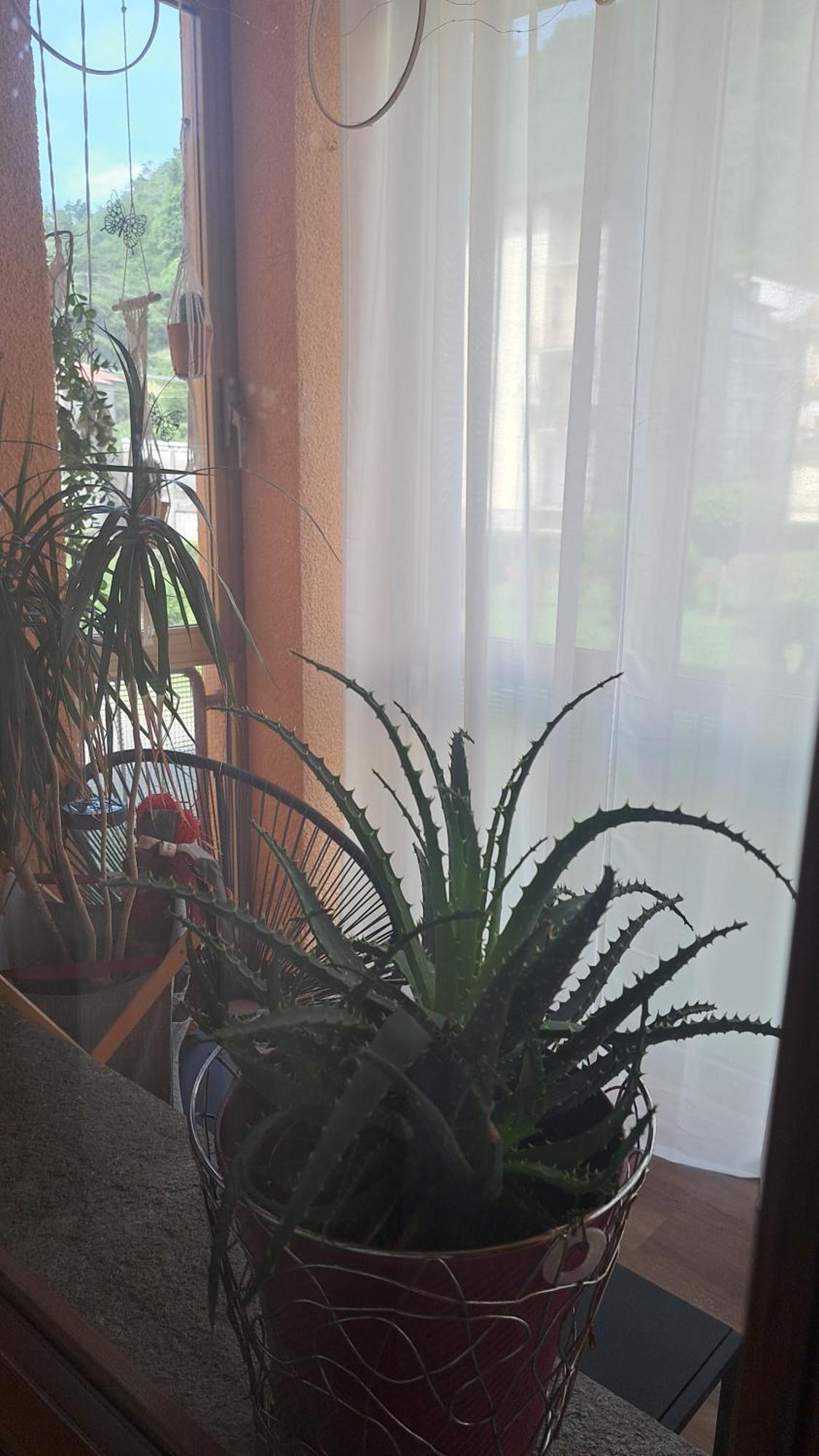 Seraval Valsesia Apartment Serravalle Sesia Dış mekan fotoğraf